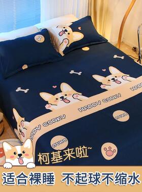 j564858毛床单件旅行一次性学生舍单人床折叠磨床单双人床小床儿