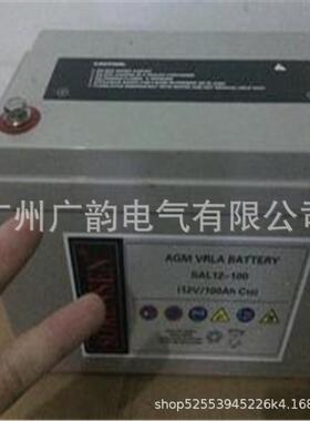 索润森蓄电池S2AL1-408120A免维护蓄电池12设V120H风力发电备电源