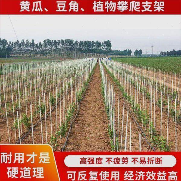 黄瓜搭架杆玻纤维竿子庭院爬藤架菜园育苗攀爬种菜架豆角拱棚丝瓜