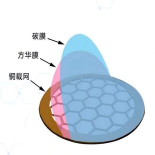 TEM电镜100枚装50至400目国产铜网普通碳膜透射电镜载网支持膜
