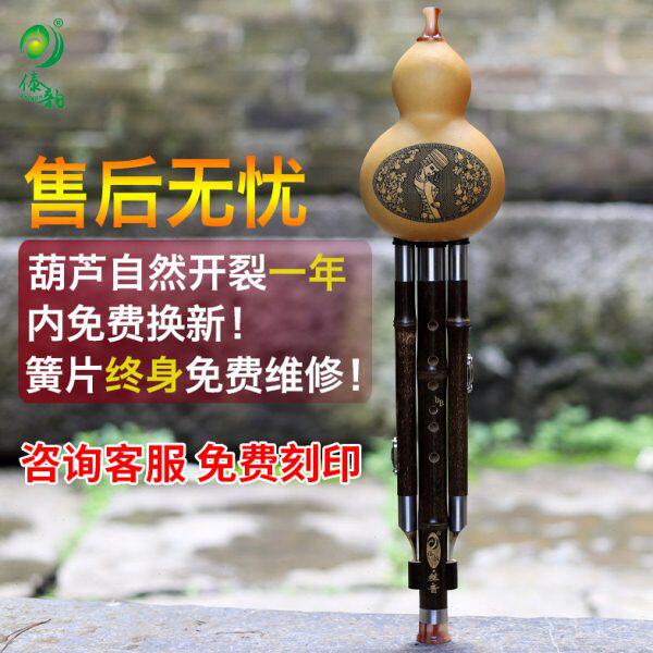 傣韵葫芦丝乐器初学专业演奏小DGFC紫竹降b调葫芦丝c调小学生专用