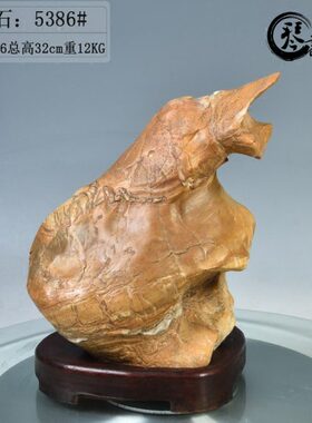 琴书侣 灵璧石5386号 观赏石 奇石 商务礼品 家居工艺品装饰摆件