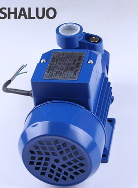 QB60 370W单级单吸卧式微型旋涡清水泵/家庭供水园林喷灌清水泵