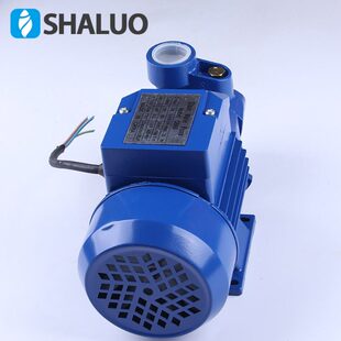 QB60 370W单级单吸卧式微型旋涡清水泵/家庭供水园林喷灌清水泵