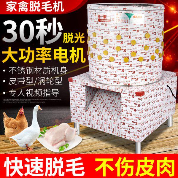 商用三鸟脱毛机鸡鸭鹅电动家禽乳猪去毛拔毛机不锈钢洗番薯土豆机