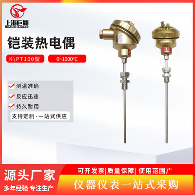 K型铠装热电偶WRNK-222 工业用插入式热电偶快速测温感温线热电偶