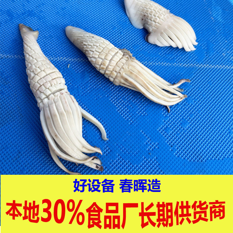 一次成型火箭鱿鱼切花机 全自动切鱿鱼花机器 鱿鱼尾巴切花机