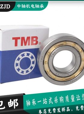 天马TMB圆柱滚子轴承 NF220 221 222 224 226 228 230EM/Z1C3C4