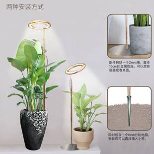植物生补灯LED光环大天使环全光谱多肉无品牌/补光内植长物新品光
