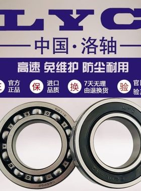 洛阳LYC/洛轴6312 6313 6314 6315 6316 6317E 2RZ高速减速机轴承