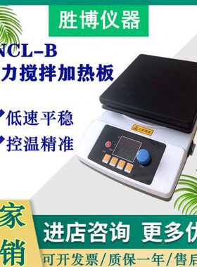 ZNCL-B智能数显磁力搅拌加热板平板加热搅拌器实验室加热设备巩义