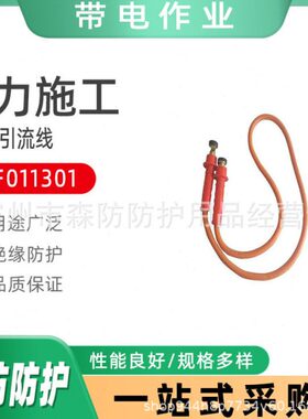 ZF011301绝缘引流线双接头带电作业分流线电力施工操作杆引流线