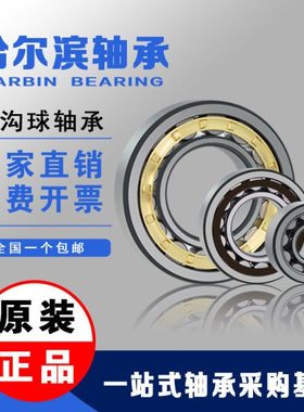 哈尔滨圆柱轴承 N NU NJ 210 211 212 213 214 215 216 217 EM/C3