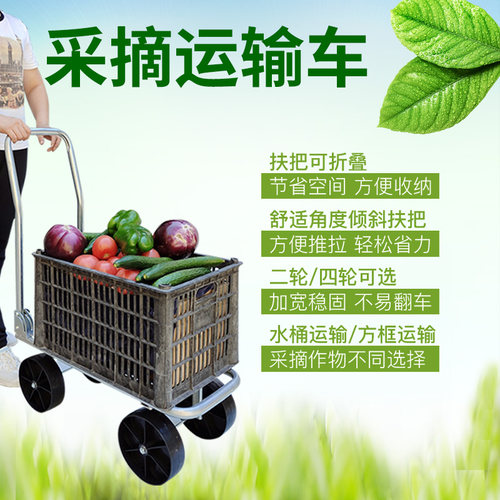 新款可携式大棚瓜果蔬菜移动采摘运输车懒汉人推拉菜工具车折叠式