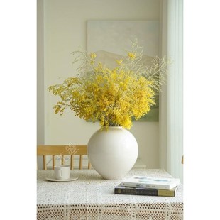 金合欢鲜花水养真花鲜切花可做干花家居餐桌面花瓶插花圣诞花鲜花