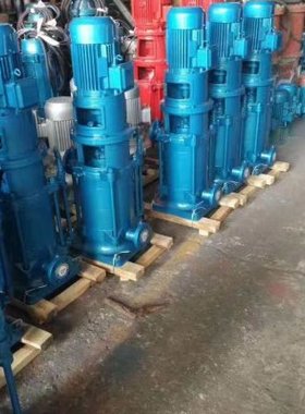 150DL150-20*2/3/4/5/6/7/8/9/10立式多级增压泵高扬程管道离心泵