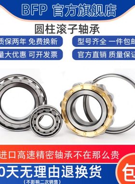 BFP进口圆柱轴承NJ2216/2217/2218/2219/2220/2222/2224 EM P5 P4