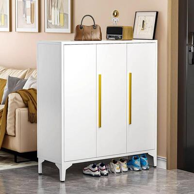 钢制TQD鞋柜家用门道口玄楼室外大容带锁入户关铁艺储物柜防尘量