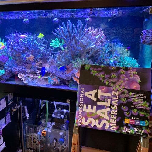 奶PFM盐S国S海水盐珊瑚盐德爸在 鱼缸用海盐非TM盐微缸
