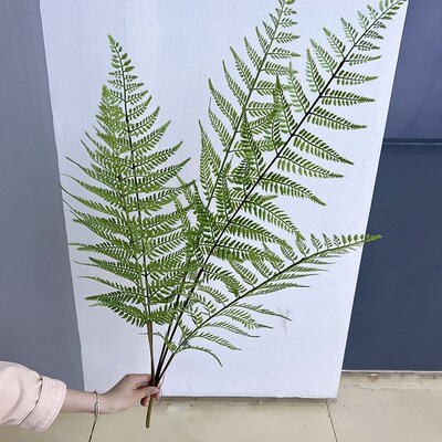 仿真马耳蕨鳞毛蕨绿植蕨草蕨叶假花植景观微物造景搭装配饰波斯草