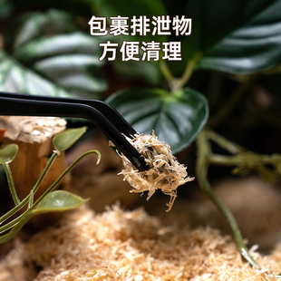 无菌蛇垫材爬宠木屑宠物蛇仓鼠蓝舌鬃狮守宫花鼠枝芦鸡丁小宠垫材