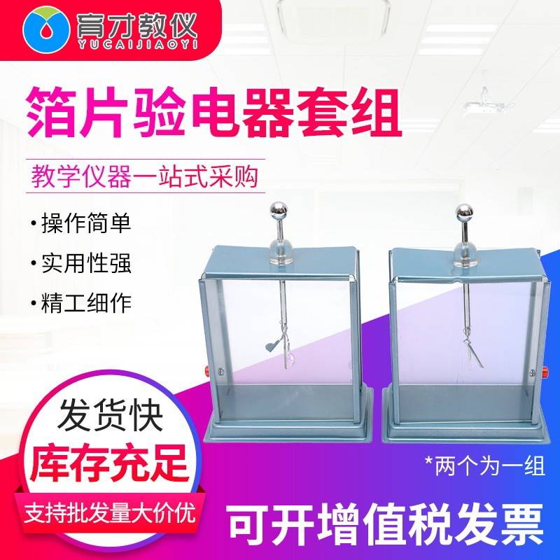 23005箔片验电器静电计天津教学仪器教师用演示静电实验物理器材