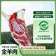 全羊 灵丘大青背山羊只取生态羯羊无膻味送礼盒冷链新鲜到家