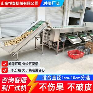 自动滚杠分选机圆萝卜山竹橘子大小分级机不锈钢滚杠式分选机