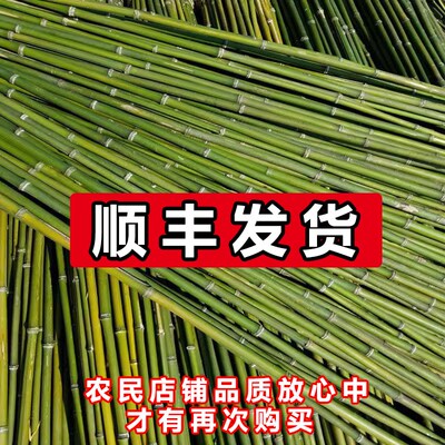 黄瓜架杆竹杆豆角竹竿架子爬藤支架小细竹子菜架杆彩旗花架竹围栏