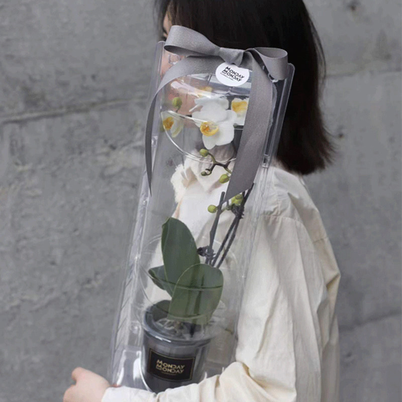 蝴蝶兰包装盒送花礼盒空盒花卉外壳包装透明植物打包盒吸塑盒定制