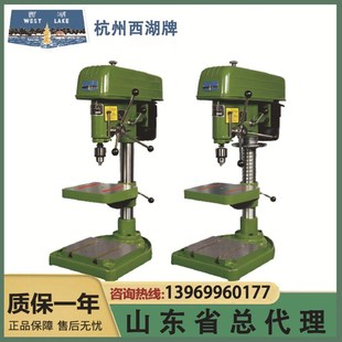 Z516 现货西湖台钻 西湖Z521 Z512B 工业大功率钻孔打孔设备