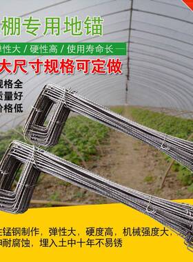 温室大棚钢丝耐地热镀锌高强度防锈腐锚蚀绳固定压膜预埋ZWT地锚