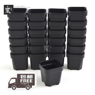 厚黑浅方盆 特小号升级版 多肉植物种植盆 25个装 套餐