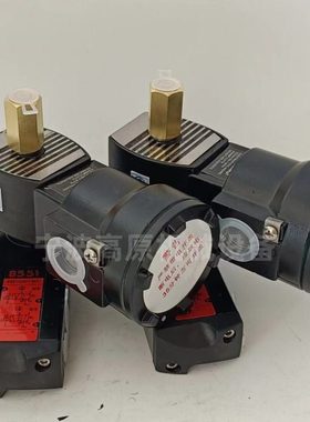 隔爆电磁阀NF8551G301MO NFG551B401MO EFG551B401MO