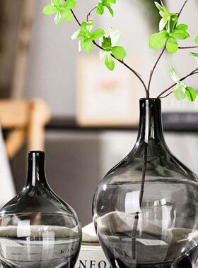 大肚花瓶透明玻璃落地摆件插花长枝小口水培水养马醉木专用花瓶in