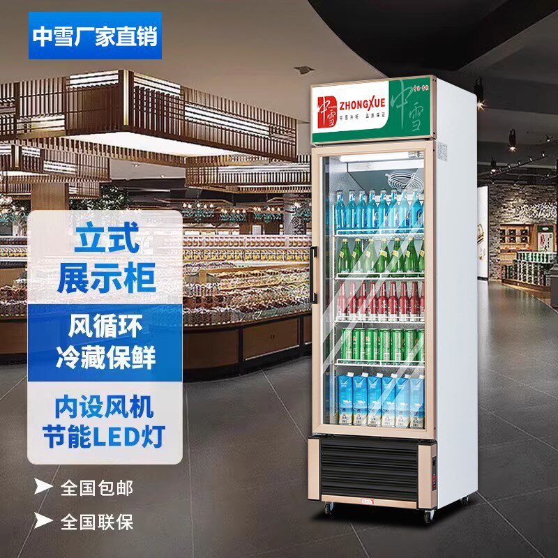 中雪冷藏展示柜商用单门冷柜饮品冰柜保鲜柜饮料柜立式啤酒直风冷