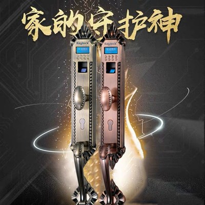 Keylock第吉尔指纹锁密码锁防盗电子智能别墅门锁欧式复古的112