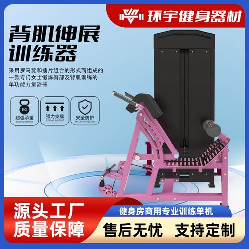 厂家供应背部伸展训练器商用健身器材背肌训练器背部后压力量器械