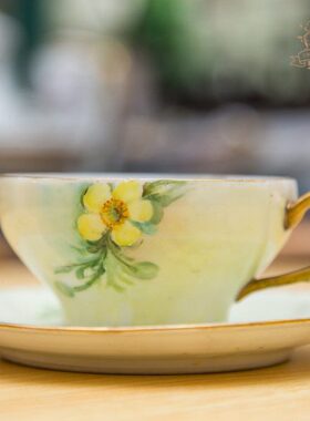 咖啡杯欧式奢华田园手绘花卉客厅家用法国haviland英式下午茶杯