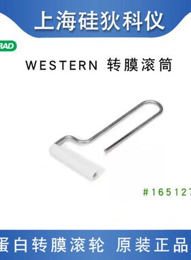 伯乐WB转膜气泡滚筒转印电泳去汽泡滚轮滚轴工具Roller #1651279