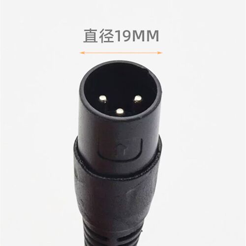电动车充电器2车v36v48锂四轮代步4v电池铅酸电瓶充电器卡农头