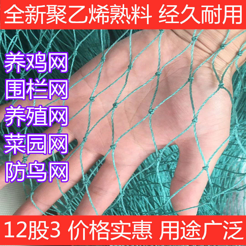 养鸡网养殖网天网防鸟围网拦鸡网菜园围鸡网养鸡围栏网养山鸡顶网