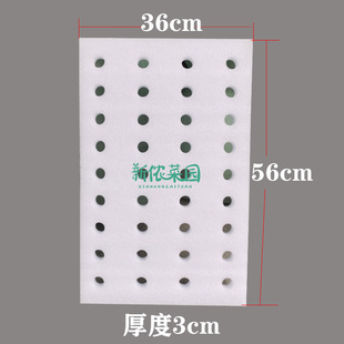 水培蔬菜种植面板鱼菜共生漂浮床无土栽培设备鱼塘水上种菜泡沫块