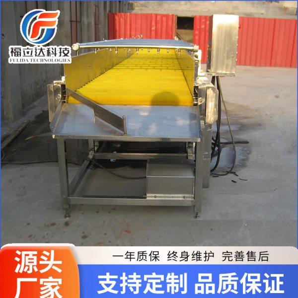 胡萝卜牡蛎扇贝海螺毛刷清洗机 去泥去杂平行毛辊清洗机 压喷淋,清洗/食品/商业设备,果蔬加工设备,淘宝优惠券,粉丝福利购,淘宝优惠卷