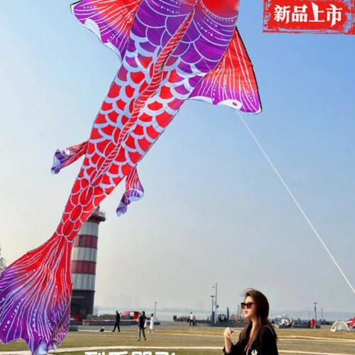 锦鲤风筝大人专用超大号网红2024新款巨型成人易飞初学者山东潍坊