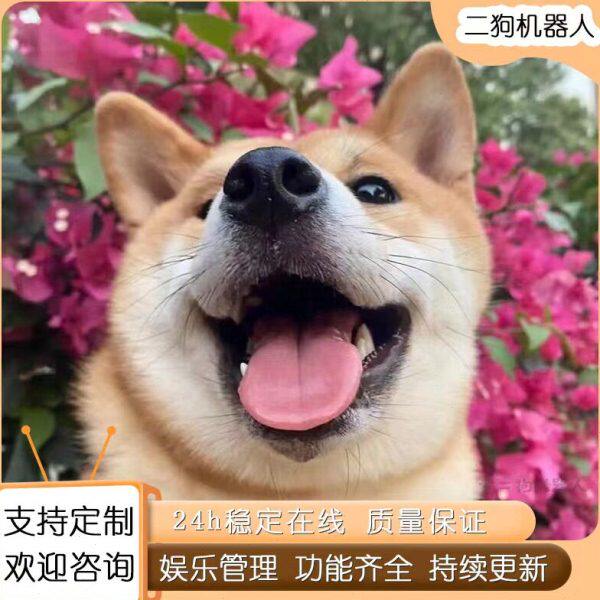 黄二狗群聊机器人wx群聊机器人二狗系统全新升级活跃群氛围恋爱