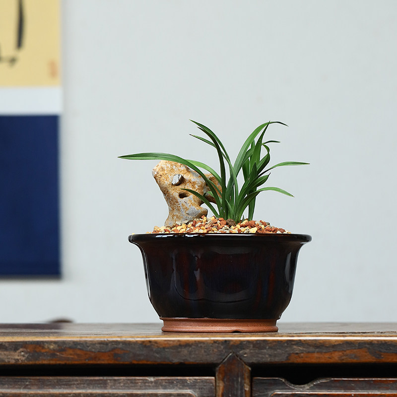 秦夕洪紫砂兰花盆宜兴精品小号红均釉春兰翠盖荷矮种绿釉植物桌面