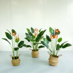 真仿天堂鸟美蕉人造绿植盆栽橱窗假植物室内客厅22020715装饰落地