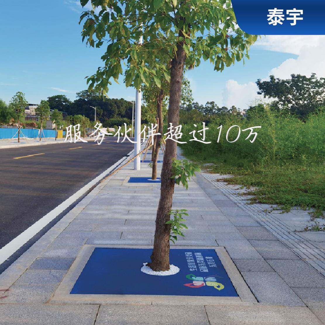 市政胶绿YWS化树池盖方形树坑透水网格板拼接橡树围板子环保树篦