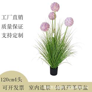 仿真芦假苇草绣球树花仿真绣球植物高造景端轻奢仿生绿植室内假装